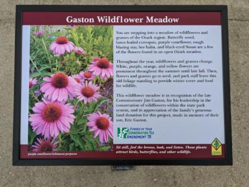 Sign describing the Gaston Wildflower Meadow, featuring colorful flowers and information about local wildlife and conservation efforts.