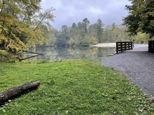 A serene lake surrounded by trees, with a gravel path leading to the water and a person in the distance.