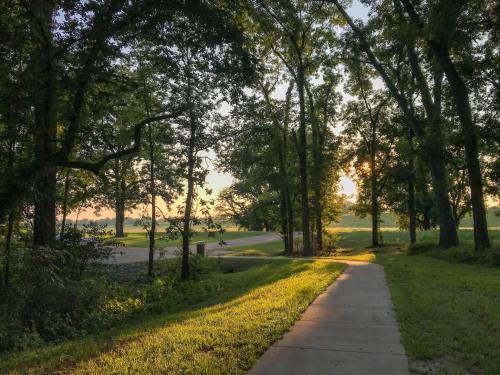 A serene pathway lined with trees, leading towards a sunset in a peaceful park setting.