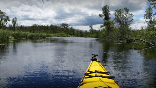 A yellow kayak on calm water, surrounded by lush greenery and cloudy skies.