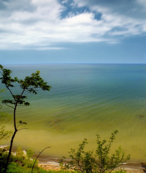 A serene view of a calm sea under a partly cloudy sky, framed by green trees along the shore.