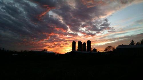 Silhouetted farm silos against a vibrant sunset with dramatic clouds.