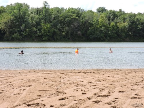 Three people wade in a calm river, with a sandy beach in the foreground and lush greenery in the background.