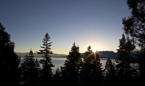 Sunrise over a lake, framed by tall pine trees and distant mountains, creating a serene and tranquil atmosphere.