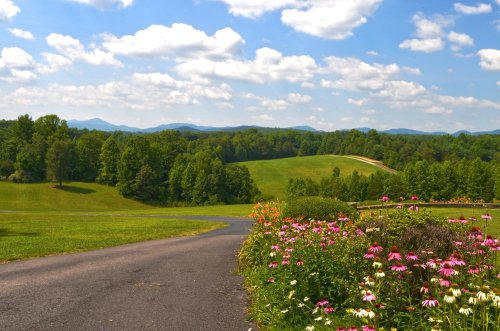 A winding path through vibrant flowers leads to rolling green hills under a blue sky with fluffy clouds.