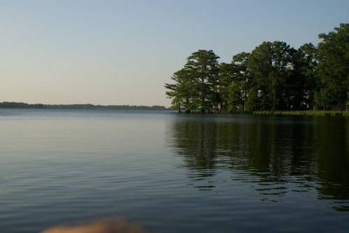A calm lake reflecting trees on the shore under a clear sky, creating a serene natural landscape.