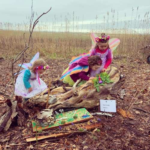 Two children dressed as fairies explore a whimsical scene on a log in a grassy field, with flowers and decorations nearby.