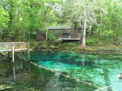 A serene natural spring surrounded by lush greenery, with a wooden deck and a cabin in the background.