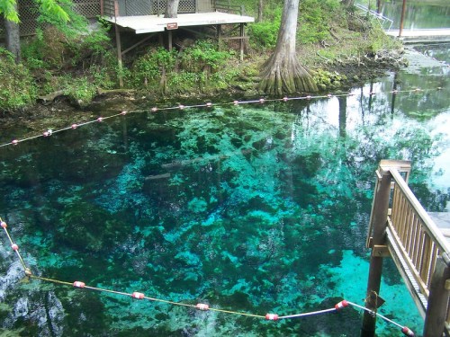 A clear, blue spring surrounded by greenery, with a wooden deck and safety barriers visible.