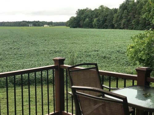 A view from a deck overlooking a lush green field and trees under a cloudy sky.