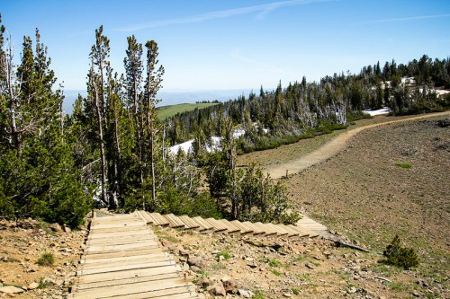 A wooden pathway leads down through a forested area with sparse snow and a clear blue sky in the background.