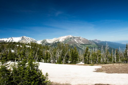 A scenic mountain landscape with snow-capped peaks and green trees under a clear blue sky.