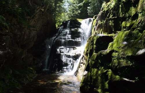 A serene waterfall cascades over moss-covered rocks in a lush, green forest. Sunlight filters through the trees.