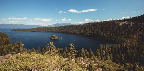 A scenic view of a lake surrounded by dense forests and mountains under a clear blue sky.