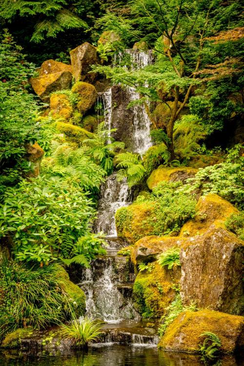 A serene waterfall cascades over moss-covered rocks, surrounded by lush greenery and vibrant ferns.