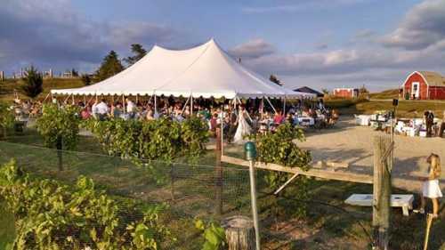 A large outdoor wedding reception under a tent, with guests seated at tables and a vineyard in the foreground.