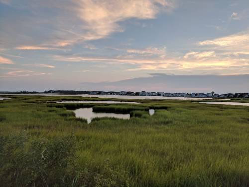 A serene landscape featuring green marsh grass, calm water pools, and a distant view of houses under a colorful sky.