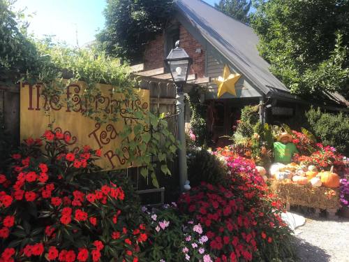 A charming tea house surrounded by vibrant flowers and pumpkins, with a welcoming sign and a star decoration.