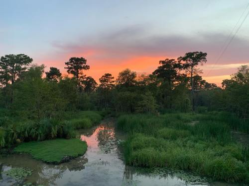 A serene wetland scene at sunset, with vibrant orange skies reflecting on calm waters surrounded by lush greenery.