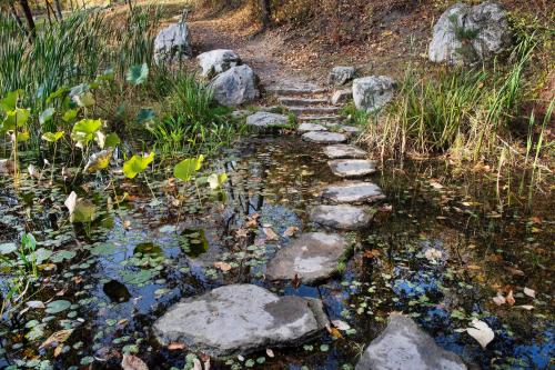 A serene pathway of stepping stones across a pond, surrounded by lush greenery and autumn foliage.