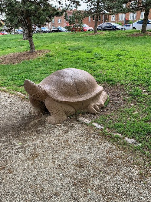 A large, stone turtle sculpture sits on a grassy area in a park, surrounded by trees and parked cars in the background.