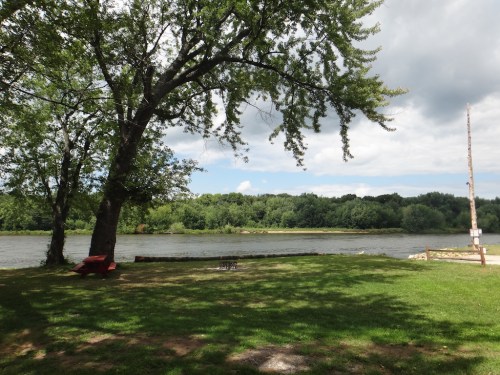 A serene riverside scene with a large tree, green grass, and a calm river under a partly cloudy sky.
