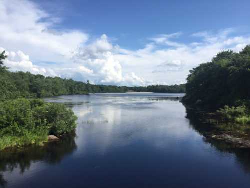 A serene lake surrounded by lush greenery and trees, under a bright blue sky with fluffy white clouds.