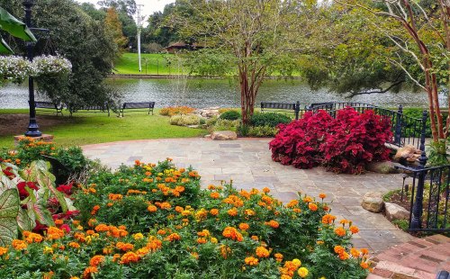 A serene garden scene featuring vibrant orange marigolds, lush greenery, and a tranquil lake in the background.