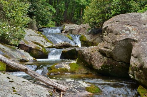 A serene landscape featuring a flowing stream with small waterfalls, surrounded by moss-covered rocks and lush greenery.