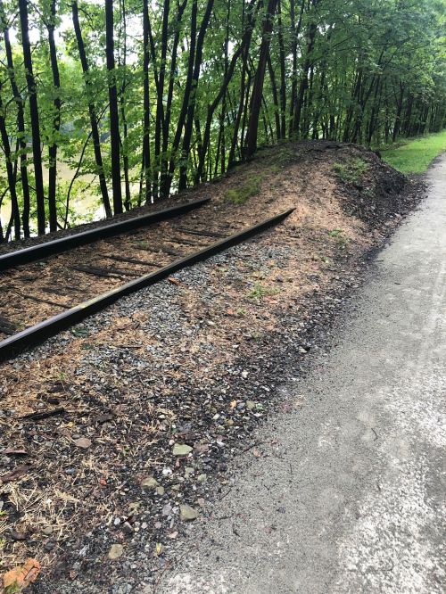 Abandoned railway tracks beside a gravel path, surrounded by trees and overgrown vegetation.