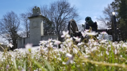 A cannon in a field of flowers, with a stone monument and trees in the background under a clear blue sky.