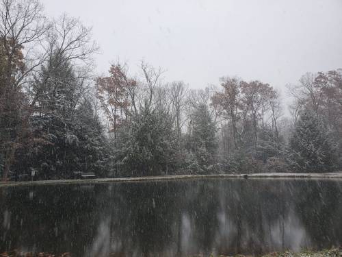 A serene pond surrounded by trees, gently falling snowflakes create a peaceful winter scene.