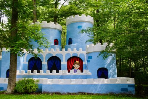 A whimsical blue castle with turrets, surrounded by trees, featuring a cartoon character in a window wearing a crown.
