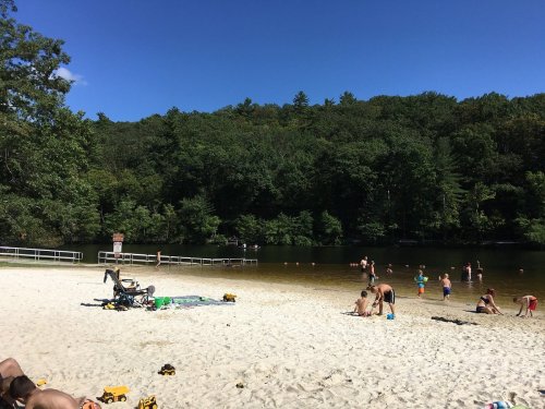 A sandy beach with people swimming and relaxing by a calm lake, surrounded by green trees under a clear blue sky.