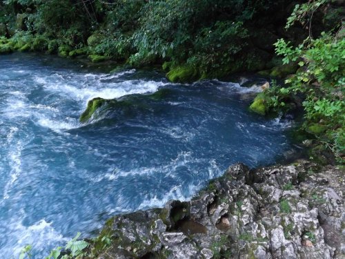 A flowing river with blue water and moss-covered rocks, surrounded by lush green foliage.