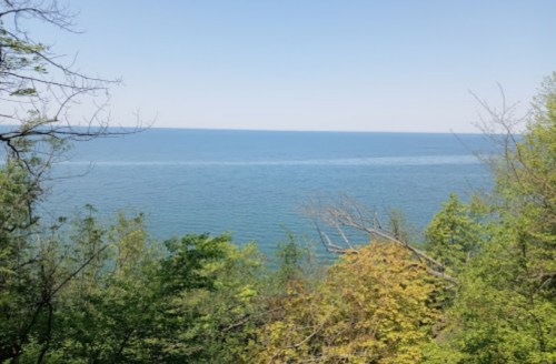 A serene view of a calm lake surrounded by lush green trees under a clear blue sky.