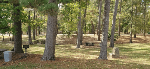 A serene park scene with tall trees, picnic tables, and grassy areas, surrounded by autumn foliage.
