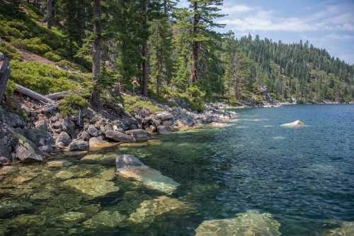 A serene lakeside scene with clear water, rocky shore, and lush green trees under a blue sky.