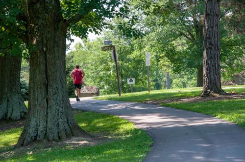 A person jogs along a paved path in a lush, green park surrounded by trees.
