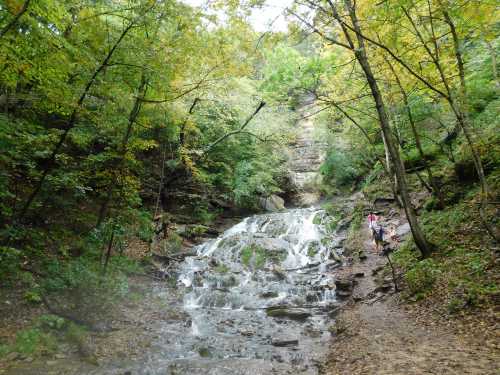 A serene waterfall cascades down rocky terrain, surrounded by lush green trees and autumn foliage.