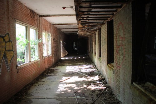 Abandoned hallway with brick walls, broken windows, and overgrown vegetation, illuminated by sunlight.