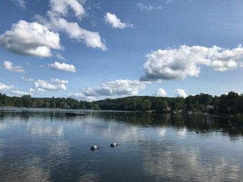 A serene lake scene with calm water, fluffy clouds, and lush greenery in the background under a clear blue sky.