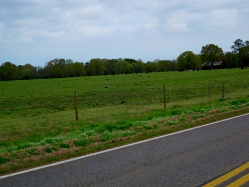 A wide, grassy field bordered by a fence, with trees in the background and a cloudy sky overhead.