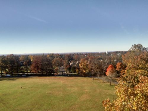 A panoramic view of a park with colorful autumn trees and a clear blue sky in the background.