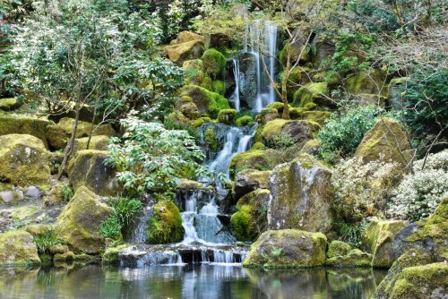 A serene waterfall cascades over moss-covered rocks into a tranquil pond, surrounded by lush greenery.