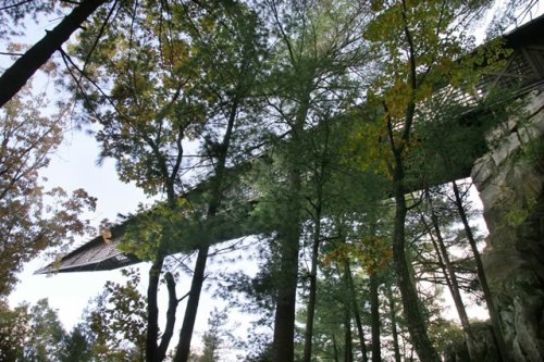 A view of a bridge extending over trees, surrounded by lush greenery and a clear sky.