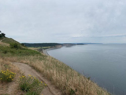 A coastal view from a grassy cliff, with a winding shoreline and overcast sky in the background.