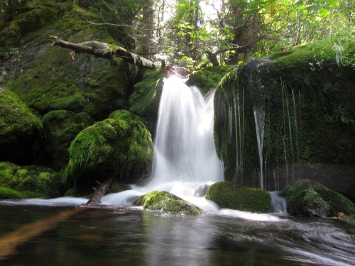 A serene waterfall cascades over moss-covered rocks in a lush, green forest. Sunlight filters through the trees.