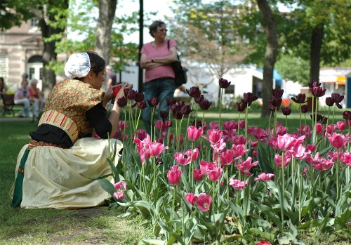 A person in traditional attire kneels by colorful tulips in a park, while another person stands in the background.