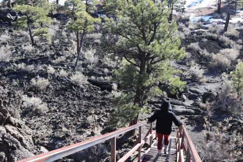 A person walks down a metal staircase surrounded by rocky terrain and sparse trees.